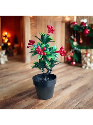 Ahl Shop Xesha Yapay Çiçek Saksıda Kokina Mutluluk Huzur ve Şans Sembolü Ev Dekor Süs Bitkisi