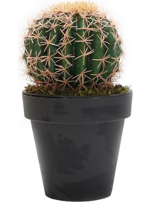 Dekorsende Yapay Altın Fıçı (Barrel) Kaktüs 35 cm