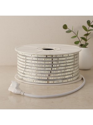 Sepetopia Dış Mekan 220V Şerit LED 120LED 100M (3000K / Günışık)