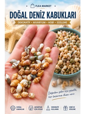 Flea Market 250 Adet Doğal Deniz Kabuğu (Nassa Shell) Akvaryum Süsleme Hobi El Sanatları Renkli Desenli