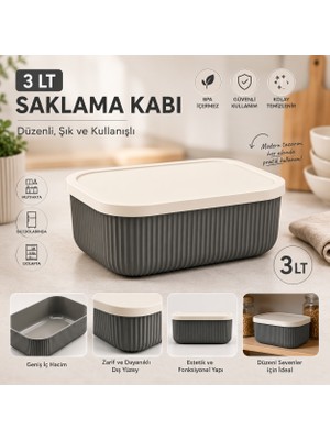 Homing Çok Amaçlı 3 Lt Organizer Saklama Kutusu