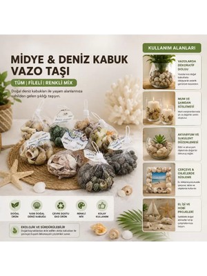 Ronanna Dekoratif Vazo Taşı - Midye ve Deniz Kabuğu - Fileli Renkli Mix
