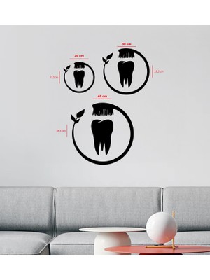 To Design Lab Diş ve Diş Fırçası Temalı Dekoratif Tablo
