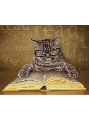 Liva Craft Elmas Mozaik Tablo Kitap ve Kedi – 37 x 47 cm