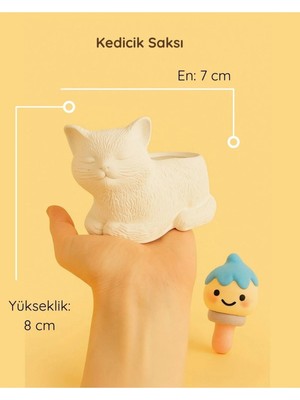 ColorBuddie Kedicik Seramik Saksı | Boyanabilir El Yapımı Beton Tozu Obje
