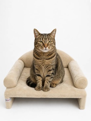 Reyo Pet Peluş Kedi Koltuğu, Kedi Kanepesi, Kedi Yatağı, Evcil Hayvan Dinlenme Koltuğu, Rahat Kedi Sofa Yatağı, 45x33x25 cm Bej