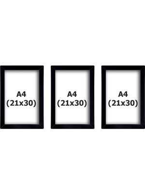 Empressco Iki Boyutlu Siyah Fotoğraf Çerçevesi Seti, A4, 3'lü Paket