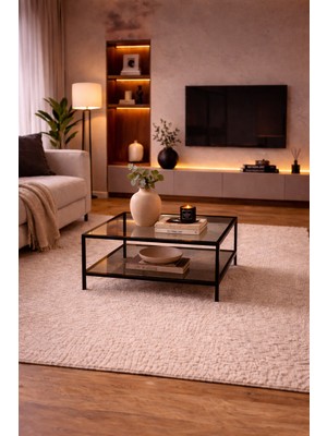 Trendmiz Lunox Modern Metal Gövdeli 2 Katlı Cam Orta Sehpa 55X55X50 cm Siyah Çerçeve Füme Cam Salon Sehpası