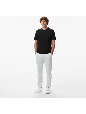 Nautica Erkek Gri Regular Fit Eşofman Altı