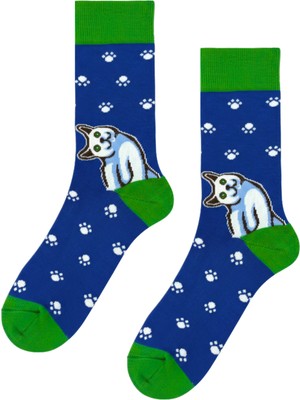 Carnaval Socks Beyaz Kedi Desenli Mavi Renkli Soket Çorap