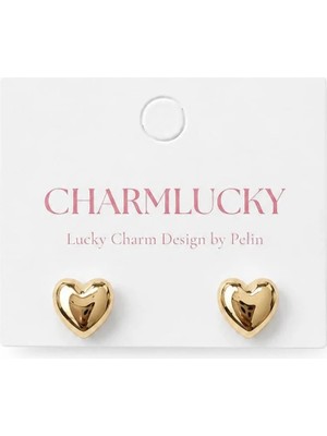 Charmlucky Özel Seri Mini Kalp Küpe