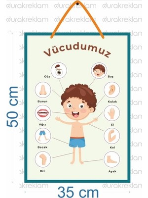 DRK PRINT Vücudumuzu Tanıyalım Türkçe