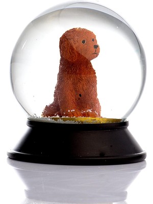 Cam ve Reçine Altın Patiler Köpek Toy Poodle (Tarçın) Kar Küresi Hediye