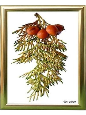 Hediyelik Çerçeve Ev Home Ofis Kişiye Özel Resim Çerçevesi Masaüstü 25X30 25X30-LAM22-GÜMÜŞ