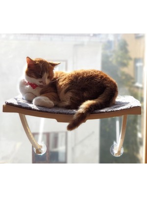 Ata Home Yeni Dizayn Lüx Cam ve Duvar Için Kedi Yatağı Vantuzlu