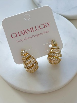 Charmlucky Çelik Taşlı Damla Küpe