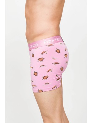 Paul Kenzie Desenli Erkek Boxer – Eco Characters – Turtley
