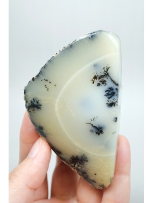 Healcrystal Krem ve Ivory Merlinit Cilalı Yarım - Kremsi Beyaz Dendritli Opal ile Siyah Yosun