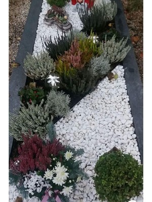 Ekodoğa Beyaz Dolomit Taş 5 kg 2 4 cm Bahçe Süs Taşı Dekoratif Aksesuarı 64 x 32