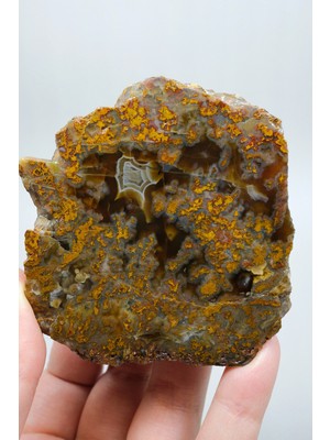 Healcrystal Bal Renk Moss Agat • Altın Tüy Akik • Parlatılmış Cilalanmış