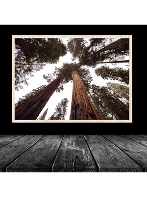 20LIK Naturel Krem Poster Resim Puzzle 48X68 cm 1000 Parça Çerçevesi Pvcli Postersiz Resimsiz Çerçeve
