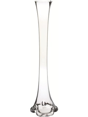 AyrStore Nettenevime Fil Ayağı Vazo Cam Vazo 80CM Ince Belli Vazo