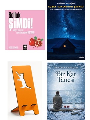 Eksik Parça Yayınları Bolluk Şimdi! Gerçek Bolluğu Deneyimlemenin 60 ... - Jesse Sands + Kuzey Işıklarının Şarkısı + Telefon Tutucu + Bir Kar Tanesi