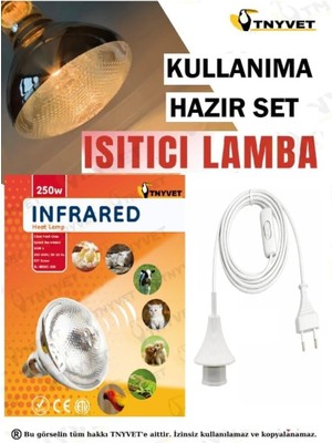 Tnyvet Isıtıcı Lamba Şefffaf Renk 250 Watt + E27 Seramik Duy+2m Fişli Kablo **** Kullanıma Hazır Set****