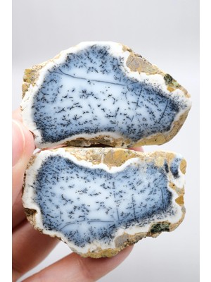 Healcrystal Mavi Dendrit Opal Çifti • Beyaz Içeriğe Sahip Opal