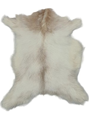 Ottoman Pouffe Hakiki Oğlak Derisi Gerçek Deri Post 60X68CM Posteki Ev Dekorasyon Fikirleri (100)