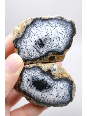 Healcrystal Mistik Bölünme: Dendritik Opal ve Dendritik Agat - Merlinite Harikaları!