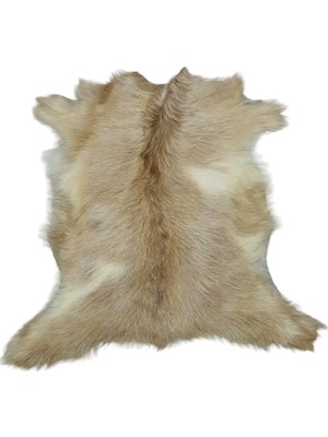 Ottoman Pouffe Hakiki Oğlak Derisi Gerçek Deri Post 64X57CM (011) Posteki Ev Dekorasyon Fikirleri