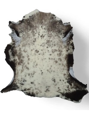 Ottoman Pouffe Hakiki Gerçek Deri Koyun Postu 70X75CM (045) Dana Inek Posteki Ev Dekorasyon Fikirleri
