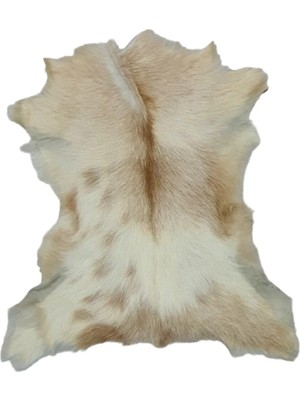 Ottoman Pouffe Hakiki Oğlak Derisi Gerçek Deri Post 52X61CM Posteki Ev Dekorasyon Fikirleri (140)
