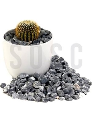 Kırçılı Çakıl Taşı Dolomit Taşı Bahçe Süsü Akvaryum Taşı Dere Çakıl Taşı 1-2 cm 3 kg