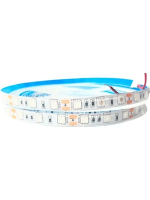 Uv Şerit LED Üç Çipli 5050 Smd 60/m Dış Mekan 5mt 12V Black Light 10MM