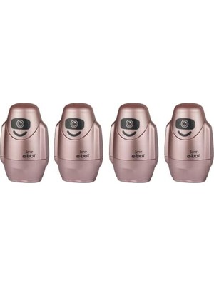 Fantastik Store Sılgılı Kalemtıras Metalık Roze 4lu Set