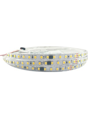 Natural Beyaz 4000K Pixel Şerit LED WS2811 2835 Ledli 120LED/M 24 Volt IP20 10M
