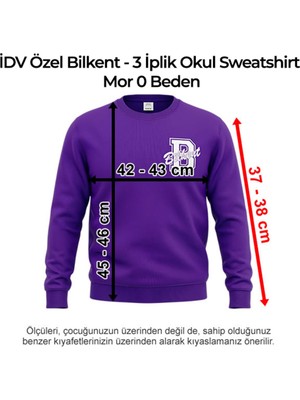 Idv Özel Bilkent - Anasınıfı 3 Iplik Okul Sweatshirt Mor 0 Beden