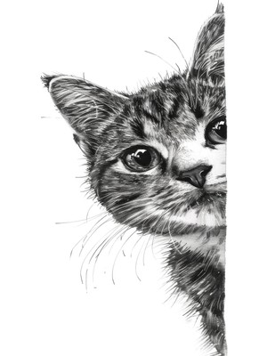 Aden Dijital Dekoratif Mizah Kenardan Bakan Kedi Dekor Kanvas Tablo