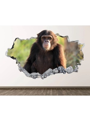 Kanvassepetinet Full Hd Baskı 3D Modern Duvar Sticker
