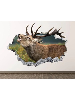 Kanvassepetinet Full Hd Baskı 3D Modern Duvar Sticker