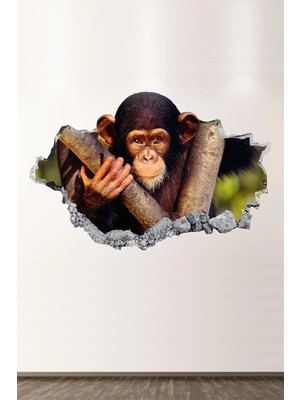 Kanvassepetinet Maymun Full Hd Modern Salon ve Oturma Odası Duvar Sticker