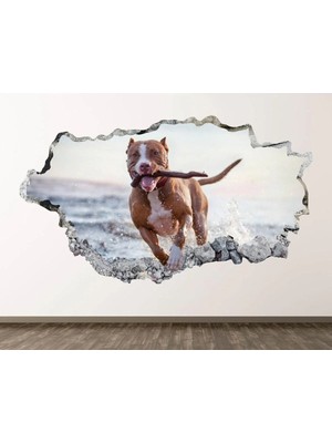 Kanvassepetinet Full Hd Baskı 3D Modern Duvar Sticker