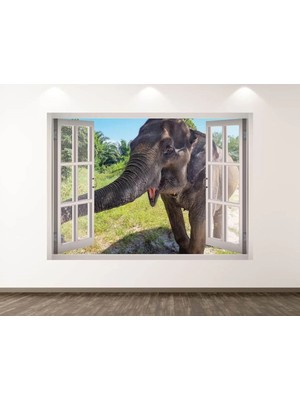 Kanvassepetinet Vahşi Yaşam Muhteşem Hayvanlar Full Hd Baskı 3D Pencere Modern Duvar Sticker
