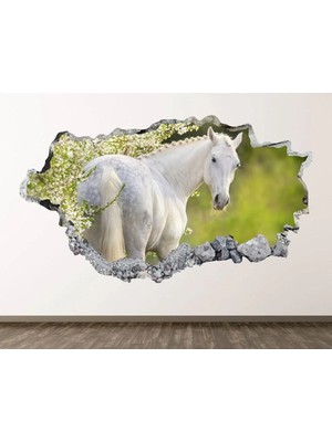 Kanvassepetinet Full Hd Baskı 3D Modern Duvar Sticker