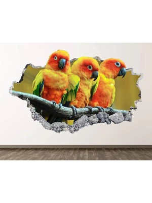 Kanvassepetinet Full Hd Baskı 3D Modern Duvar Sticker