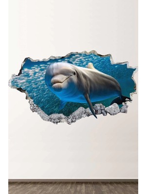 Kanvassepetinet Yunus Balığı 3D Full Hd Modern Duvar Sticker Seti