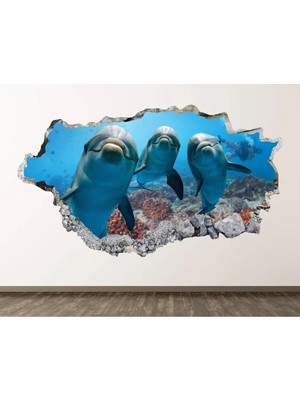 Kanvassepetinet Yunus Balıkları Full Hd 3D Sticker Kaplama