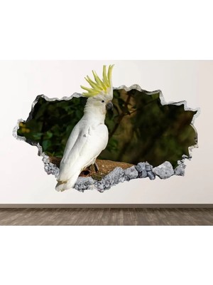 Kanvassepetinet Full Hd Baskı 3D Modern Duvar Sticker